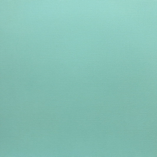 Encore Aquamarine Fizz  pale aqua textured cardstock for Cricut cutting
