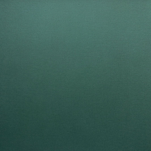 Encore Aspen Green dark green textured cardstock for Cricut cutting