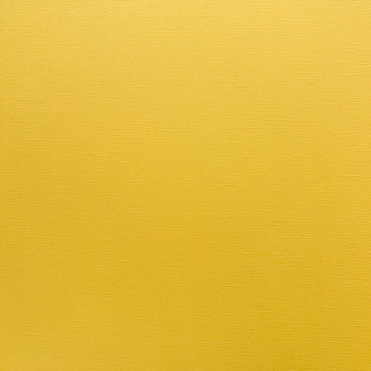 Encore Buttered Popcorn yellow textured cardstock for Cricut cutting