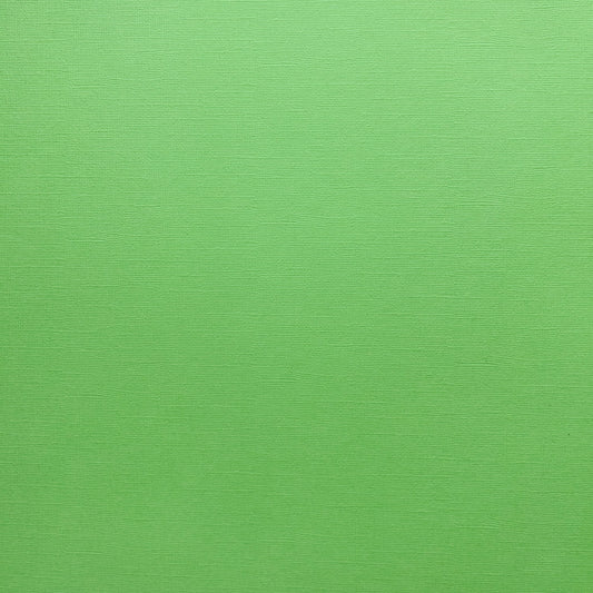 Encore Cabbage bright green textured cardstock for Cricut cutting