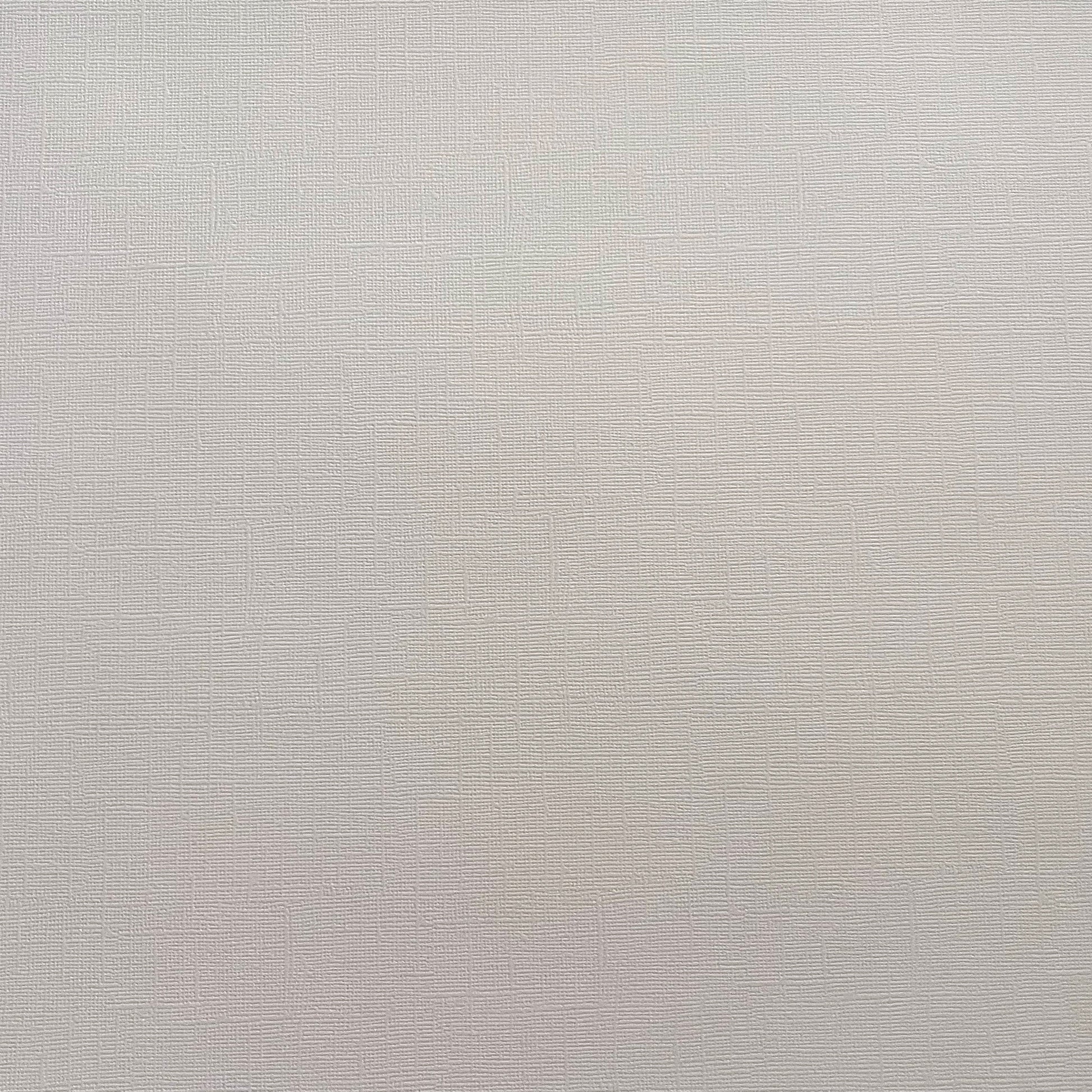 Encore Cloud Veil light grey textured cardstock for Cricut cutting