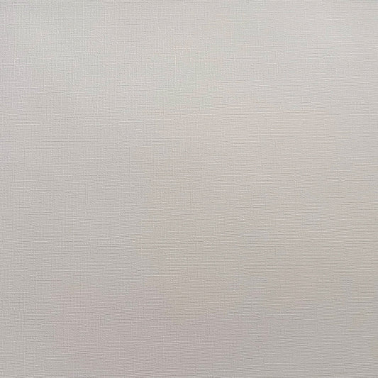 Encore Cloud Veil light grey textured cardstock for Cricut cutting