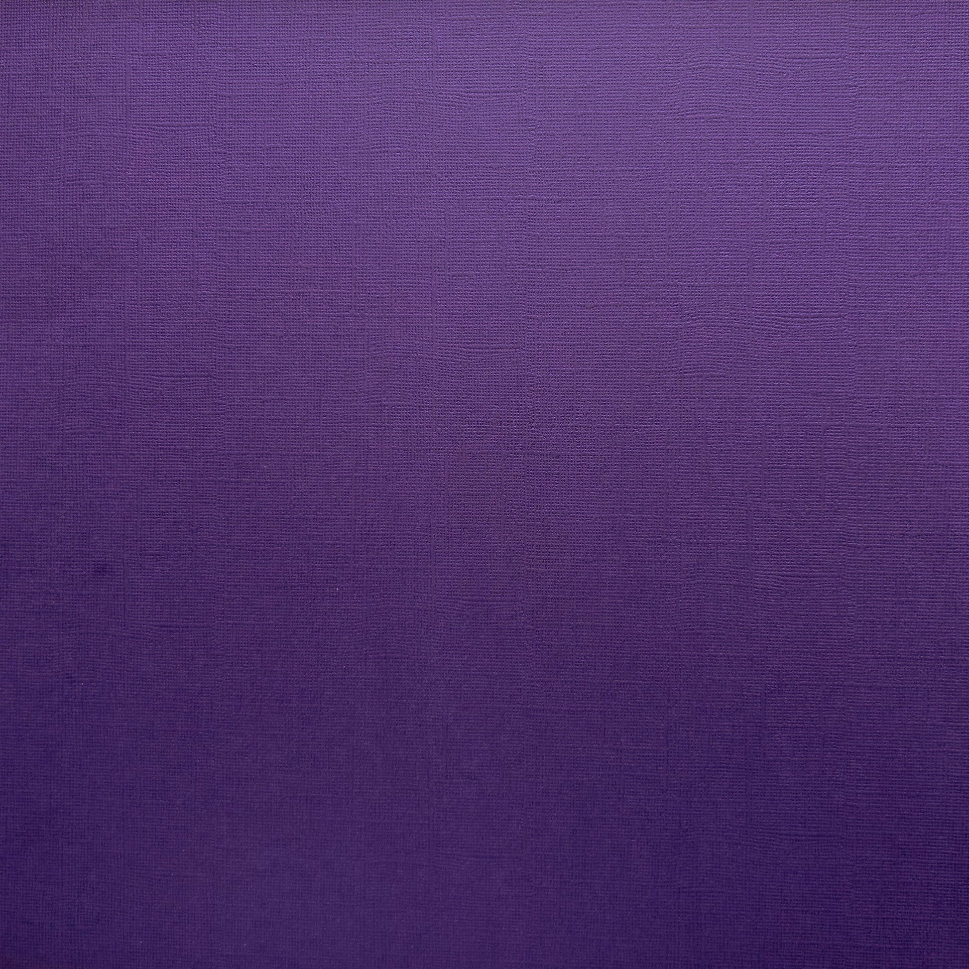 Encore Concord Grape royal purple textured cardstock for Cricut cutting