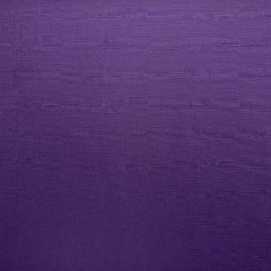 Encore Concord Grape royal purple textured cardstock for Cricut cutting