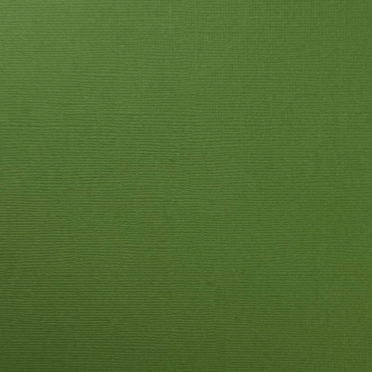 DESERT CACTUS - Canvas Texture 25 Pack - E2-912