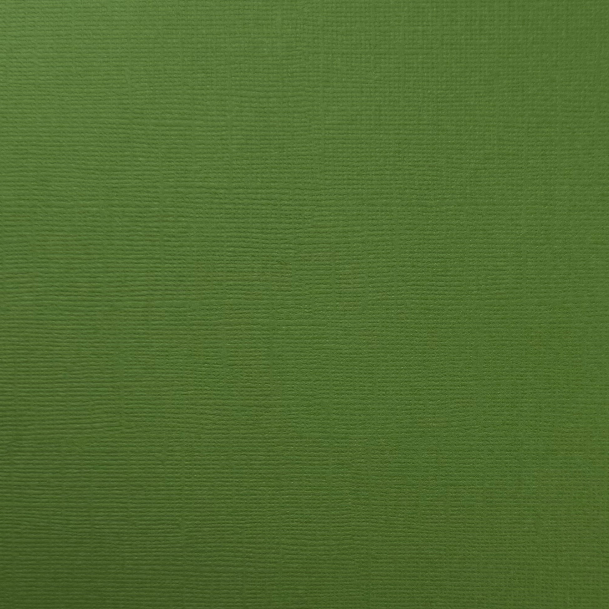 DESERT CACTUS - Canvas Texture 25 Pack - E2-912