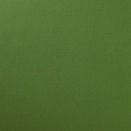 DESERT CACTUS - Canvas Texture 25 Pack - E2-912