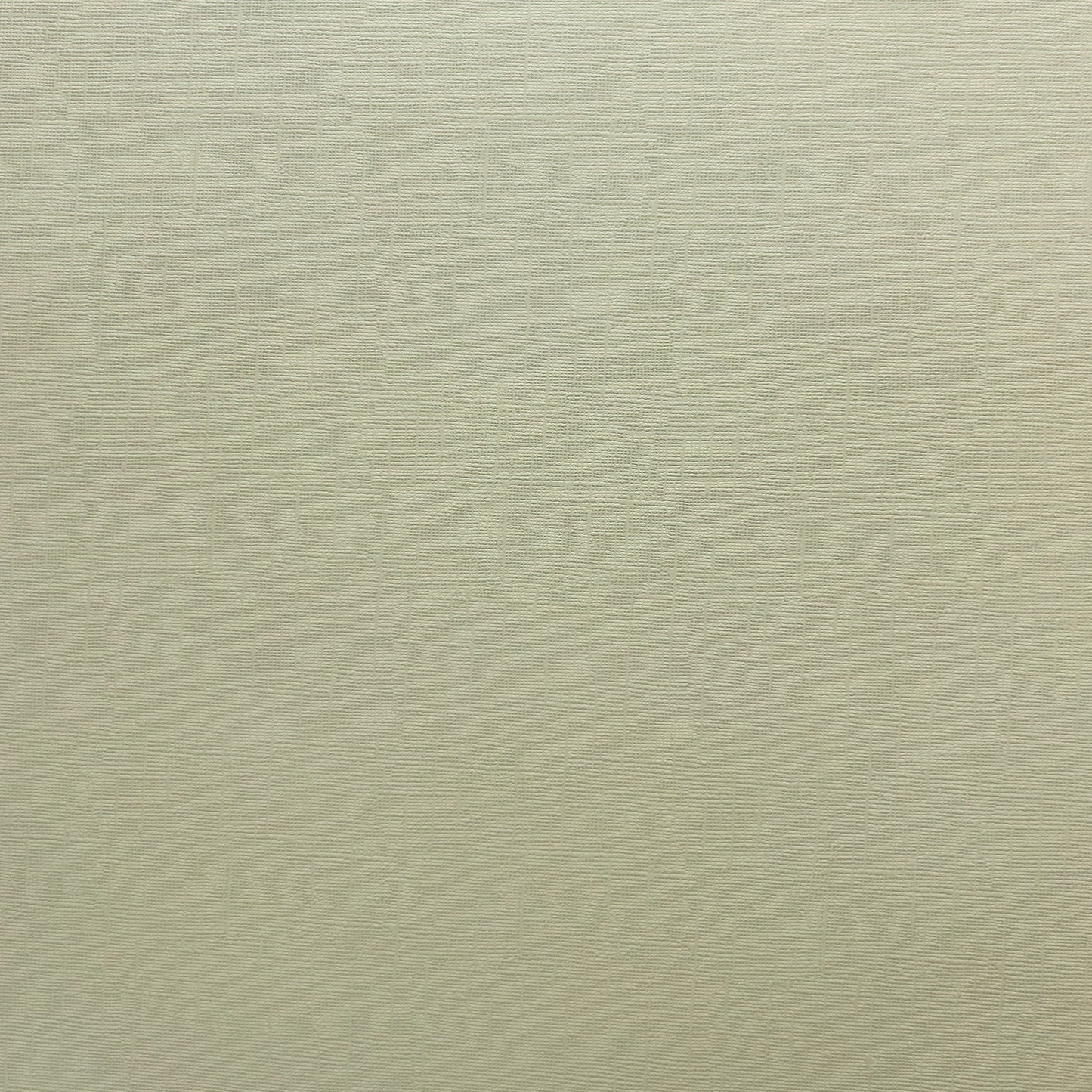 Encore Desert Aloe sage green textured cardstock for Cricut cutting
