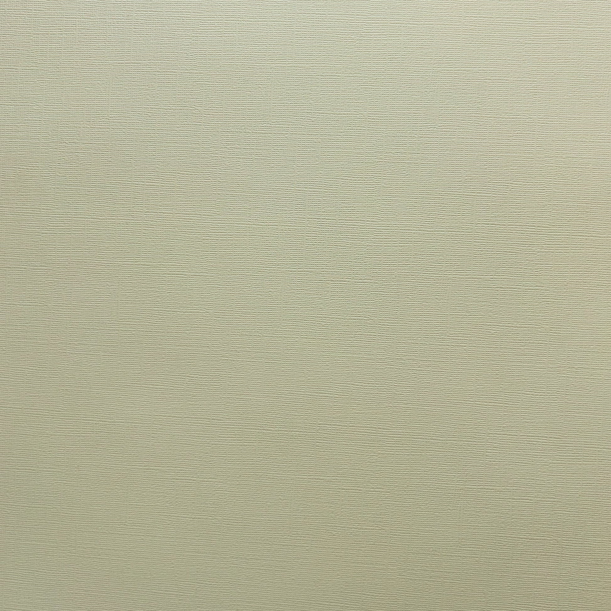 Encore Desert Aloe sage green textured cardstock for Cricut cutting
