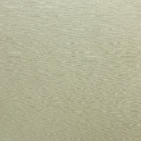 Encore Desert Aloe sage green textured cardstock for Cricut cutting
