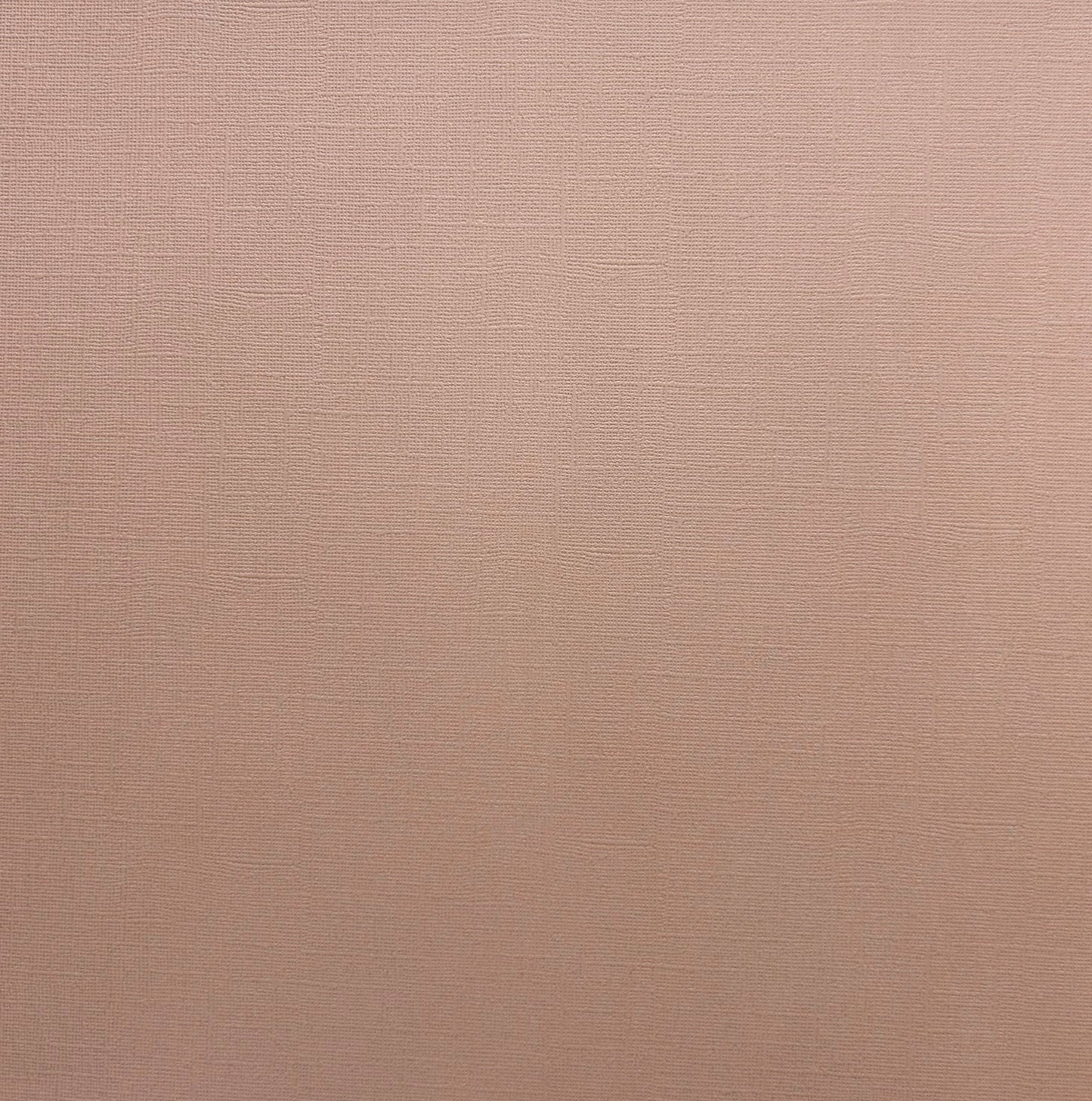 Encore Driftwood pale brown textured cardstock for Cricut cutting