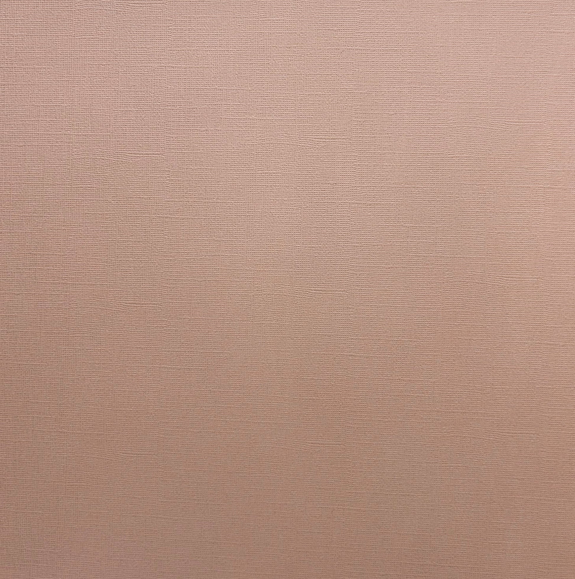 Encore Driftwood pale brown textured cardstock for Cricut cutting