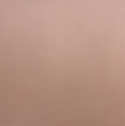 Encore Driftwood pale brown textured cardstock for Cricut cutting