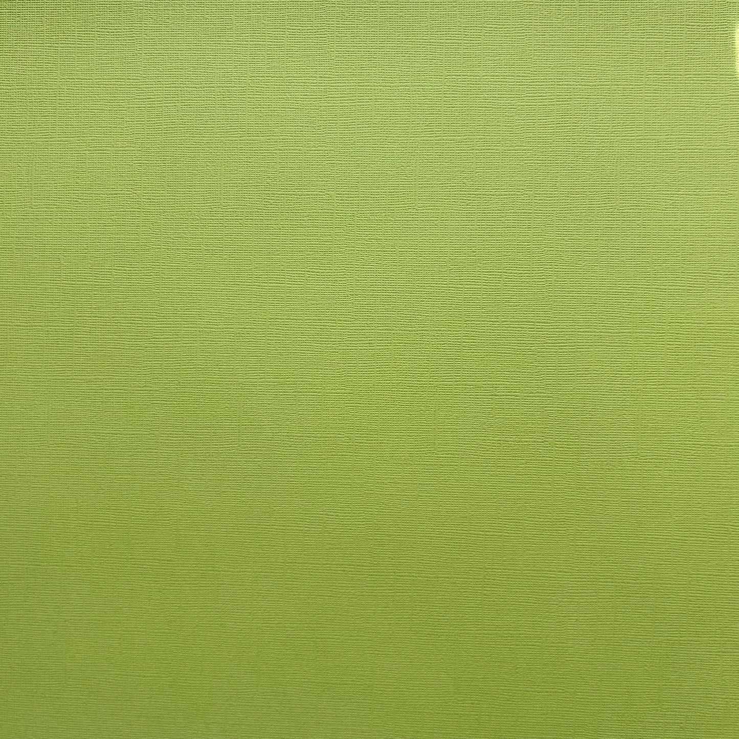 Encore Green Tomato bright green textured cardstock for Cricut cutting