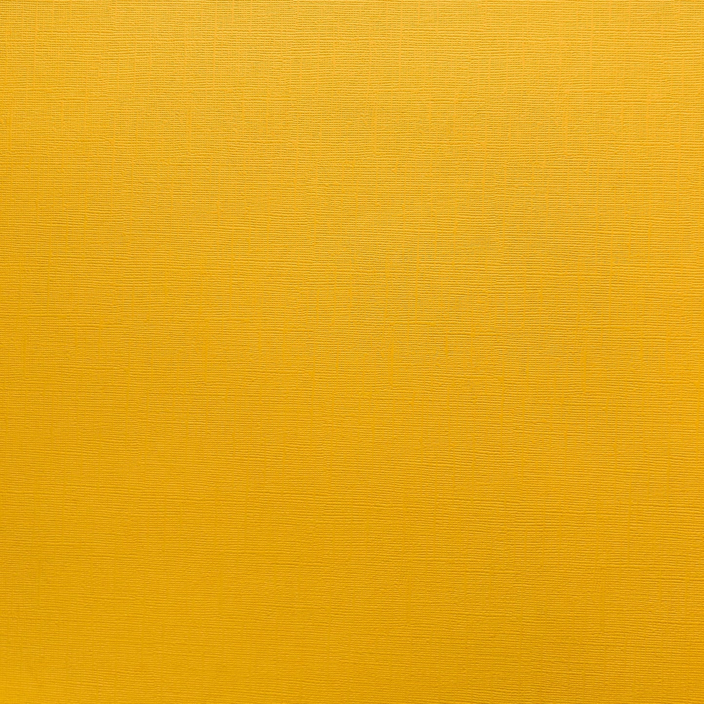 Encore Hello Sunshine golden yellow textured cardstock for Cricut cutting
