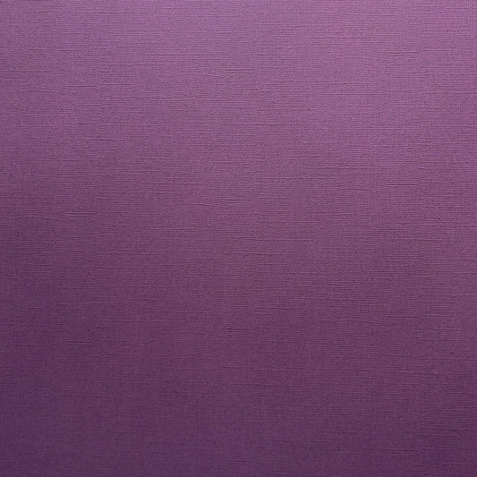 Encore Ink Berry dark purple textured cardstock for Cricut cutting
