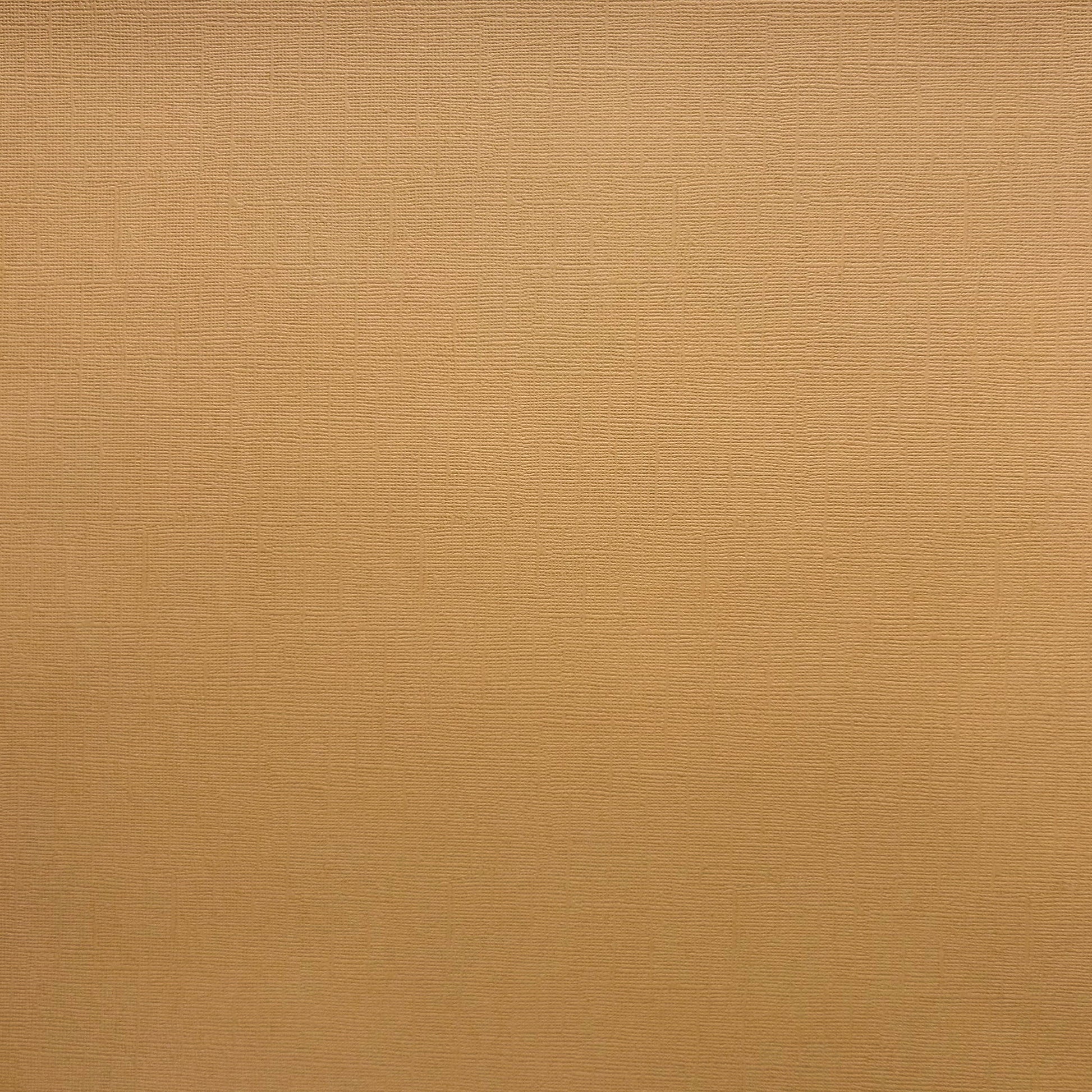 Encore Kraft light brown textured cardstock for Cricut cutting