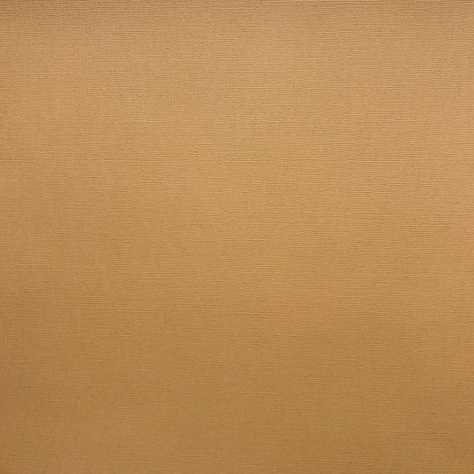 Encore Kraft light brown textured cardstock for Cricut cutting