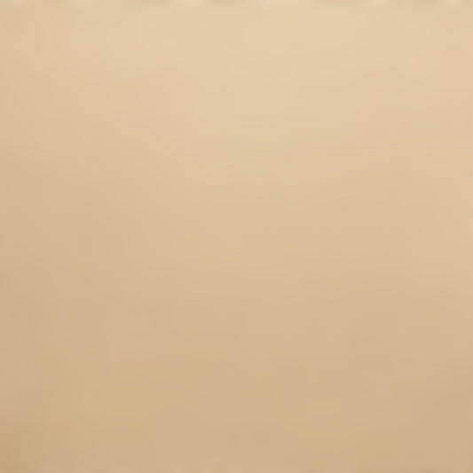 LIGHT ALMOND SMOOTH - 12x12 Cardstock - Encore Paper - Light Tan Smooth Cardstock