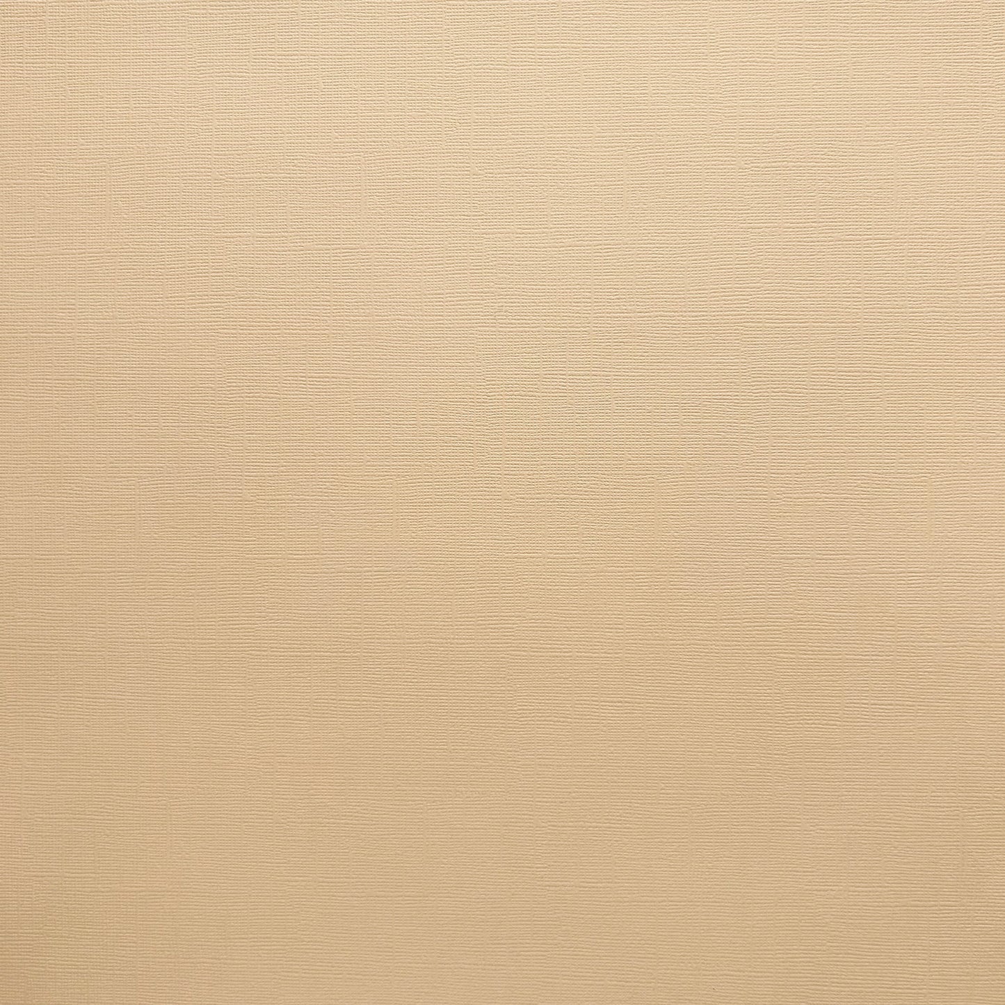 Encore Light Almond beige textured cardstock for Cricut cutting
