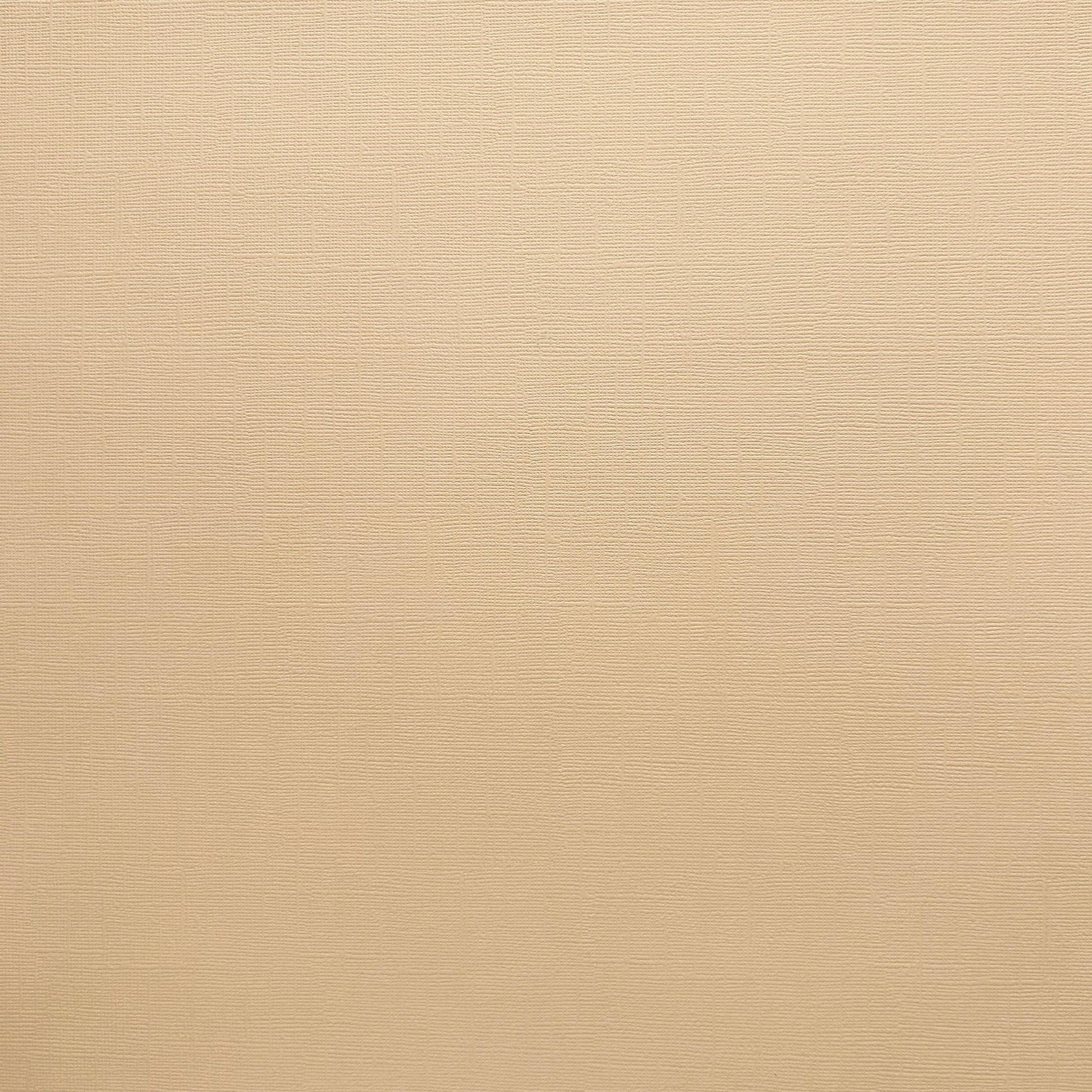 Encore Light Almond beige textured cardstock for Cricut cutting
