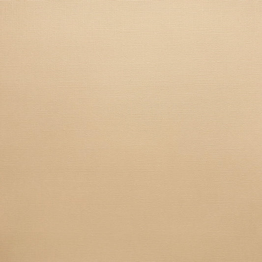 Encore Light Almond beige textured cardstock for Cricut cutting
