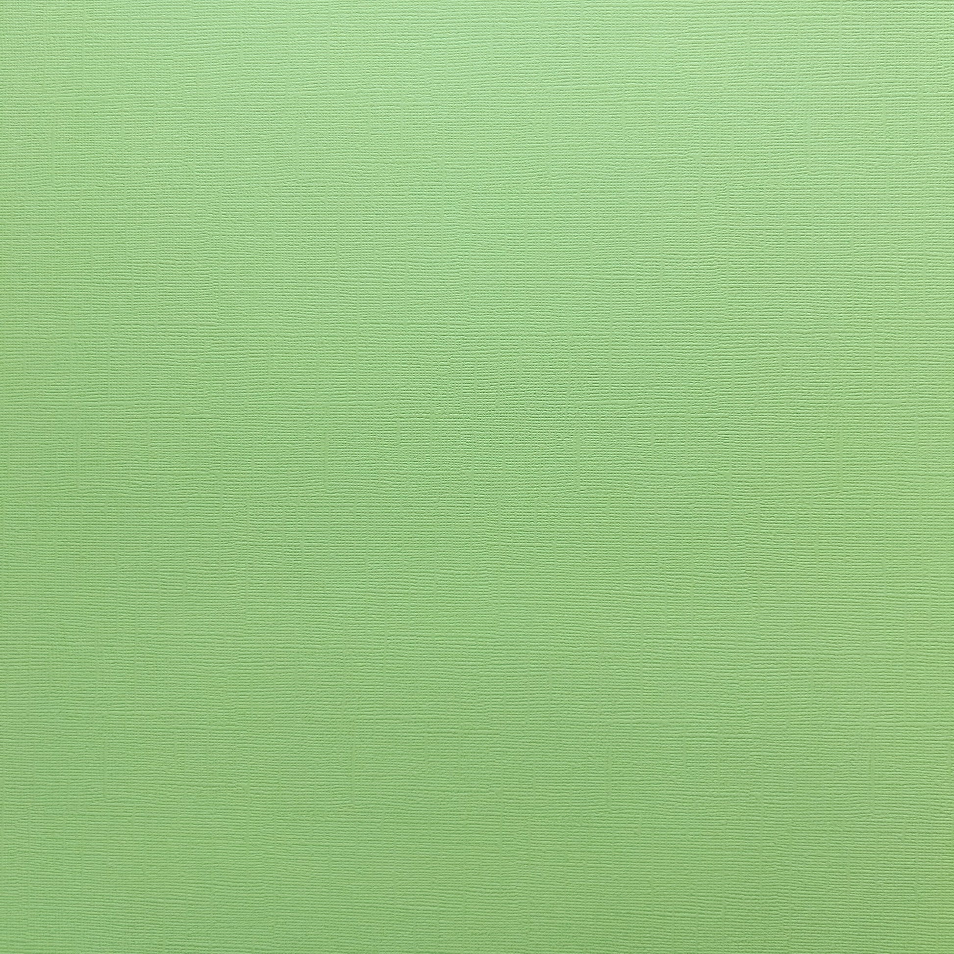 Encore Lime Sherbet pale green textured cardstock for Cricut cutting