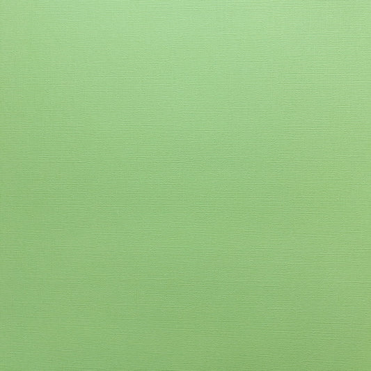 Encore Lime Sherbet pale green textured cardstock for Cricut cutting
