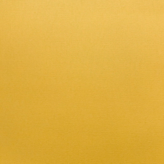 Encore Encore Maize yellow textured cardstock for Cricut cutting