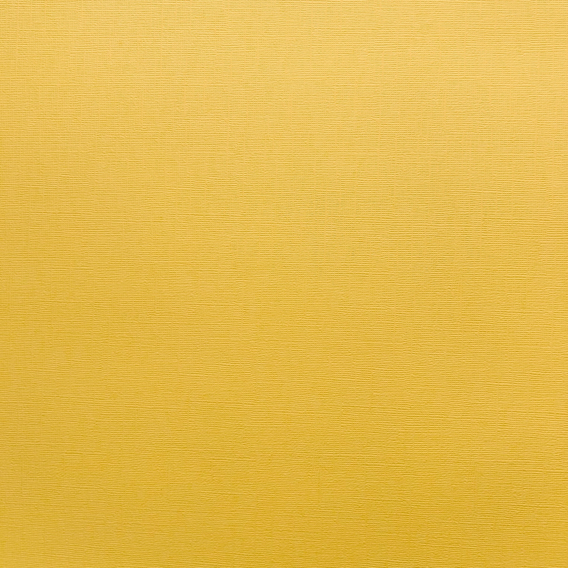 Encore Encore Maize yellow textured cardstock for Cricut cutting