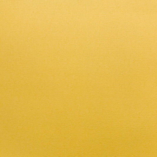 Encore Encore Maize yellow textured cardstock for Cricut cutting