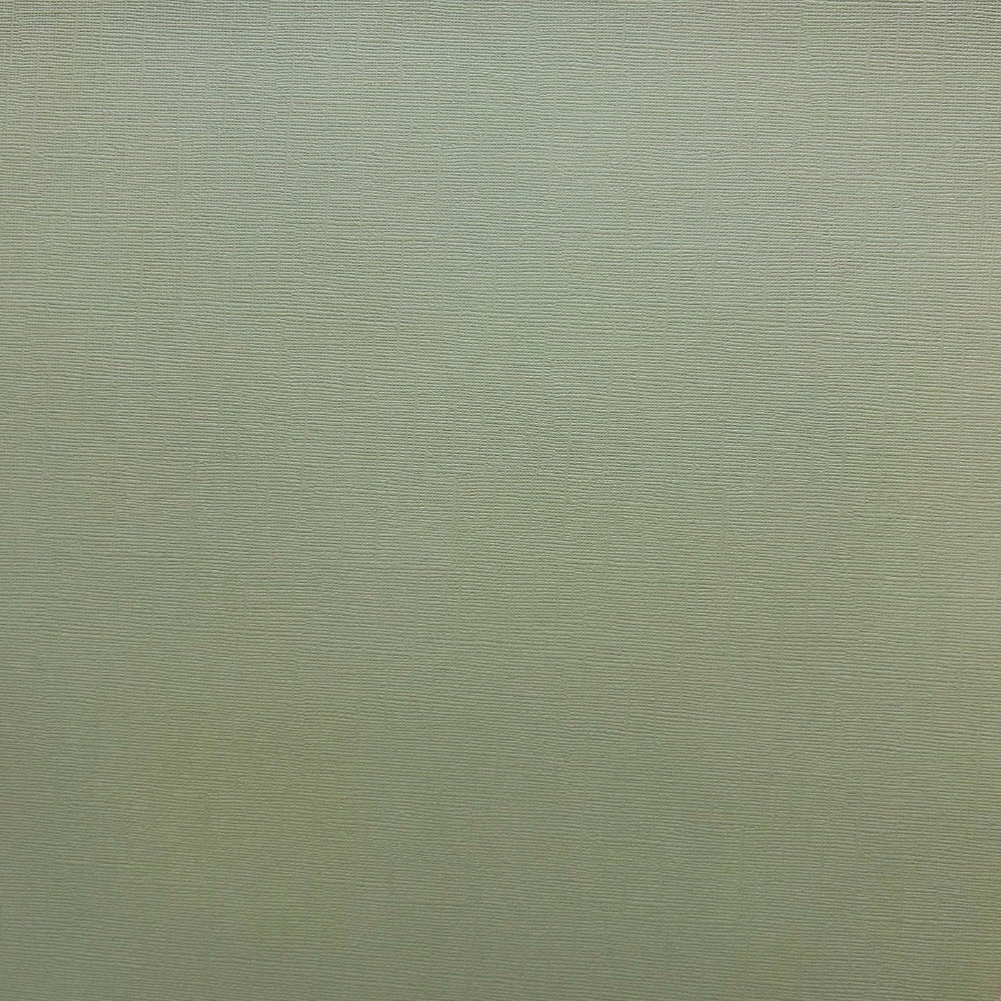 Encore Meadow sage green textured cardstock for Cricut cutting