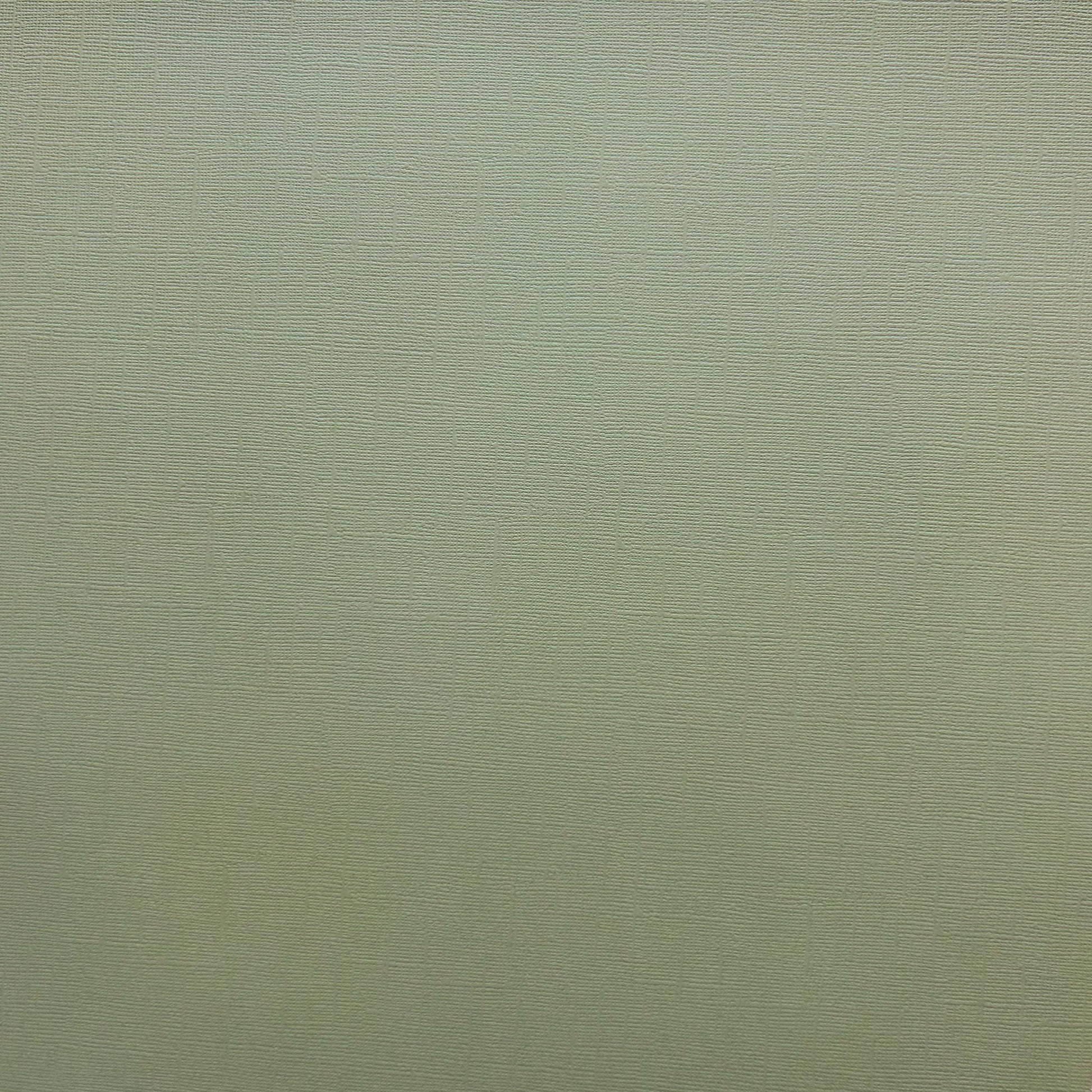 Encore Meadow sage green textured cardstock for Cricut cutting