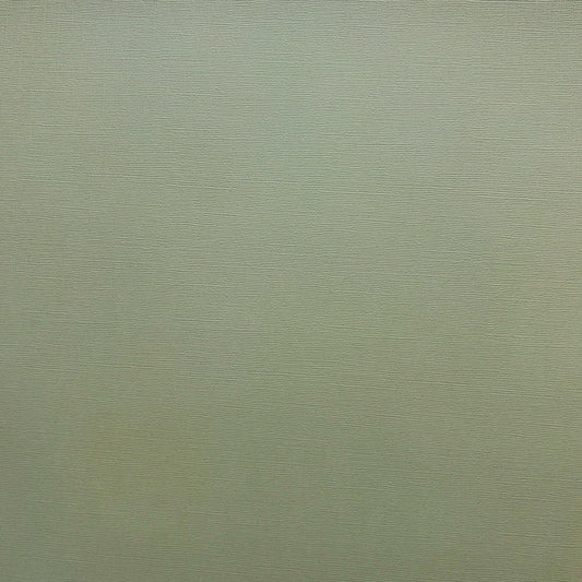 Encore Meadow sage green textured cardstock for Cricut cutting