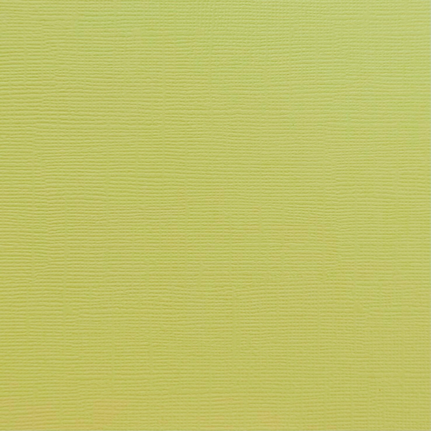 MINT - Textured Pale Green 12x12 Cardstock - Encore Paper
