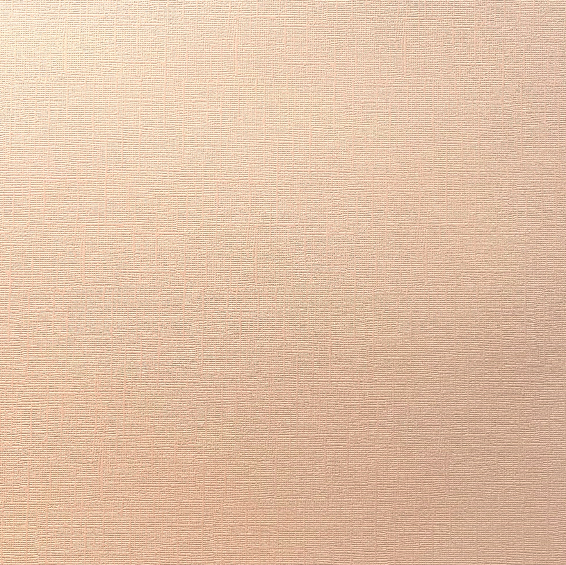 Encore Peach Whisper pastel pink textured cardstock for Cricut cutting