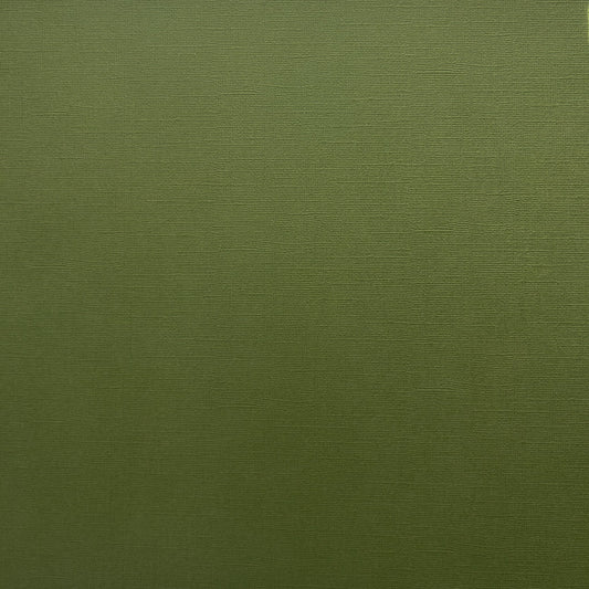 Encore Pesto Green dark olive green textured cardstock for Cricut cutting