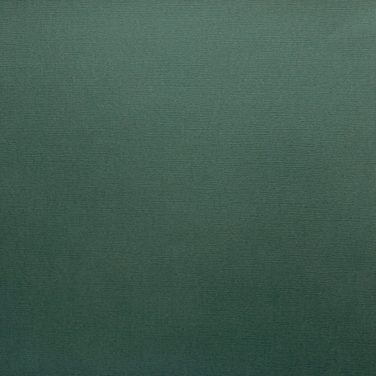 Encore Pine Bough dark green textured cardstock for Cricut cutting