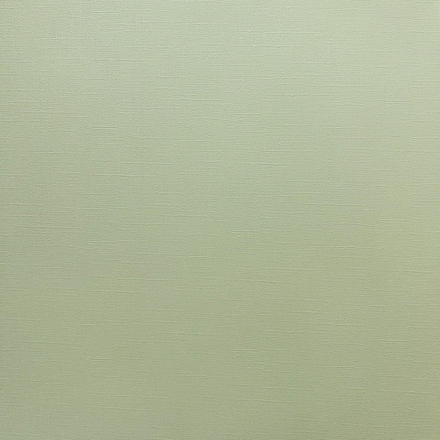 Encore Pistachio grey green textured cardstock for Cricut cutting
