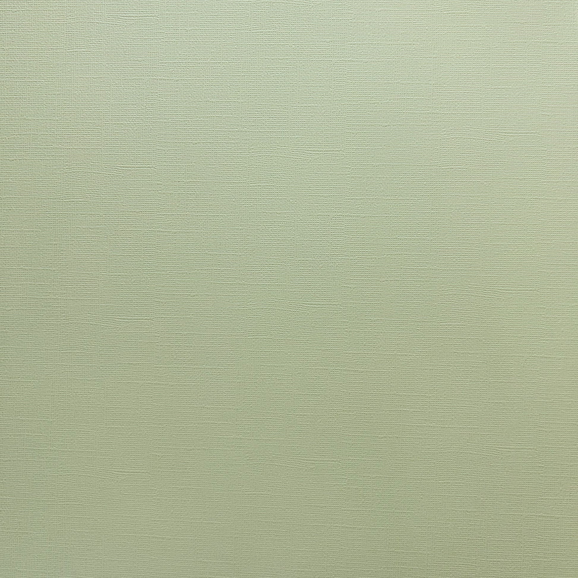 Encore Pistachio grey green textured cardstock for Cricut cutting