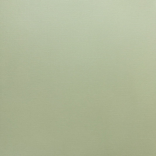 Encore Pistachio grey green textured cardstock for Cricut cutting
