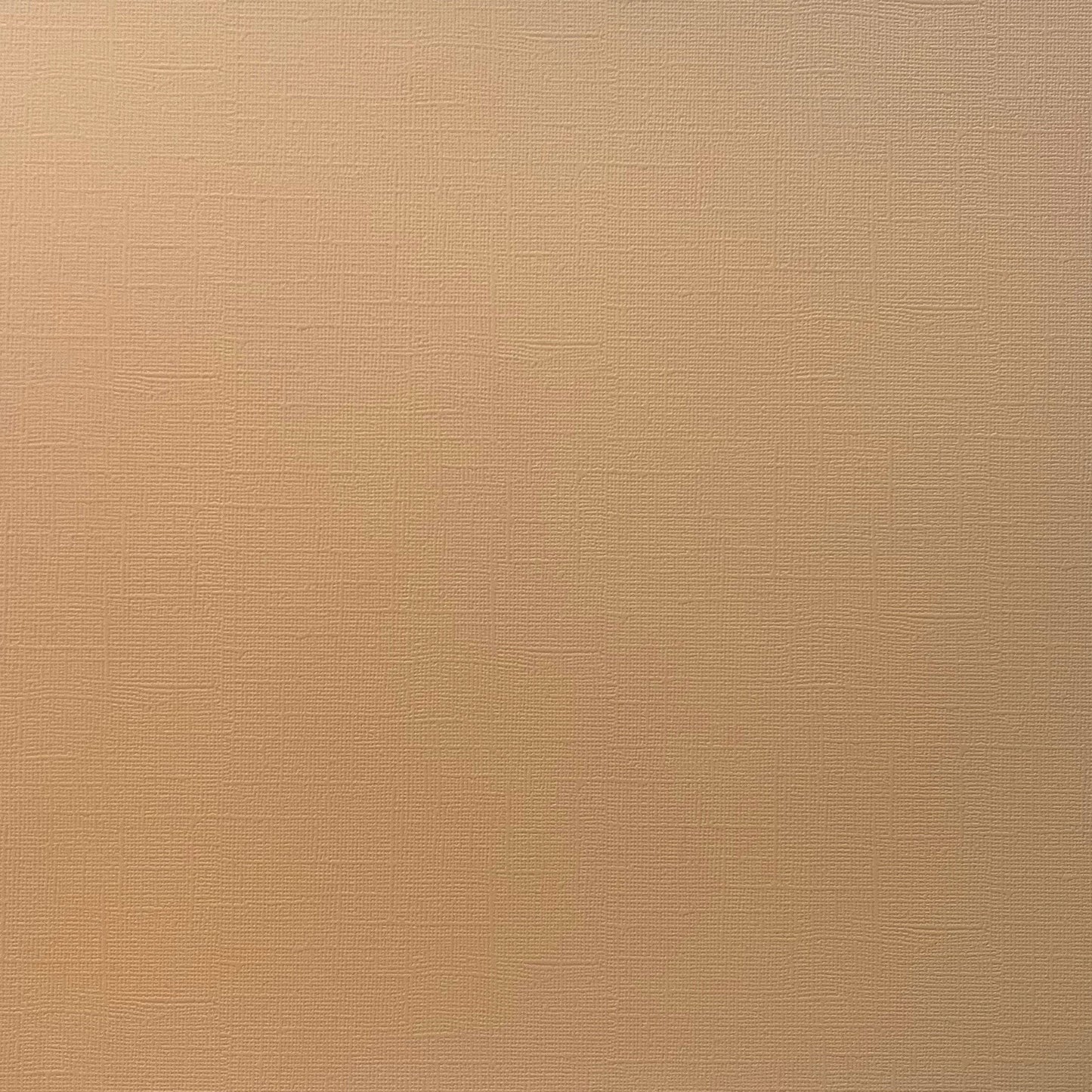 PORCELAIN PEACH - Textured 12x12 Cardstock - Encore Paper