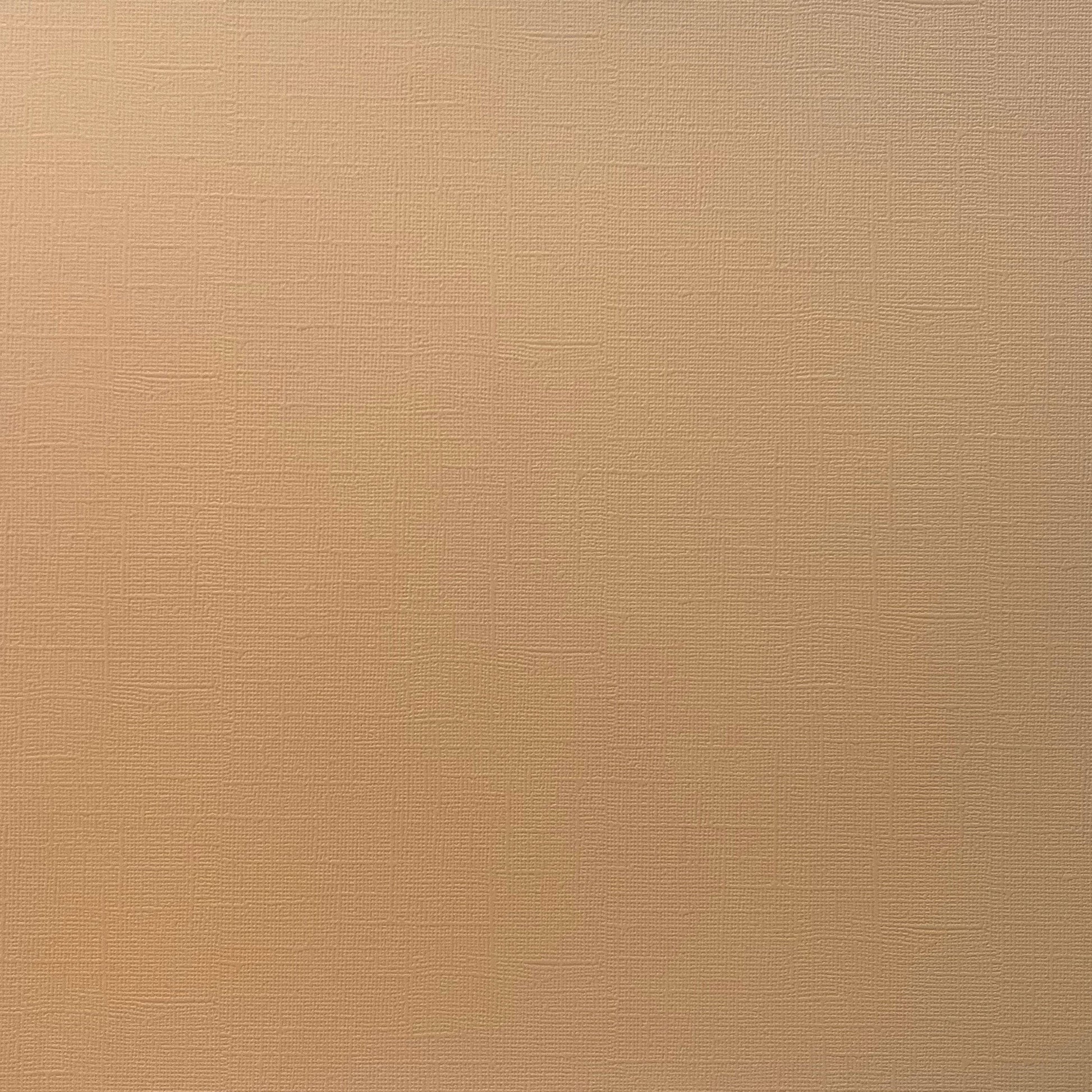 PORCELAIN PEACH - Textured 12x12 Cardstock - Encore Paper