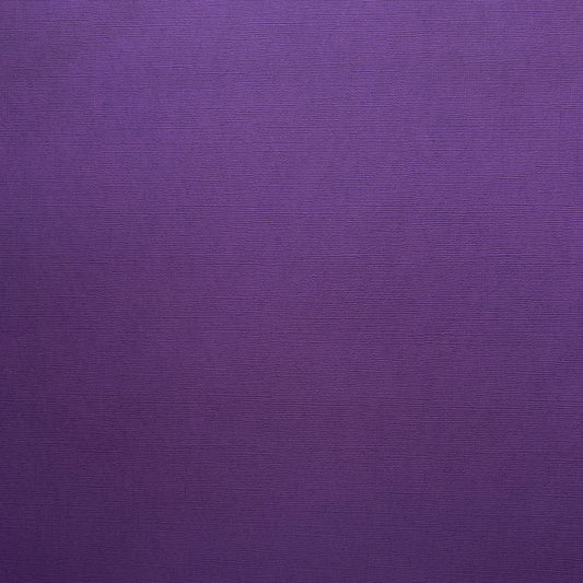 Encore Purple Majesty royal purple textured cardstock for Cricut cutting