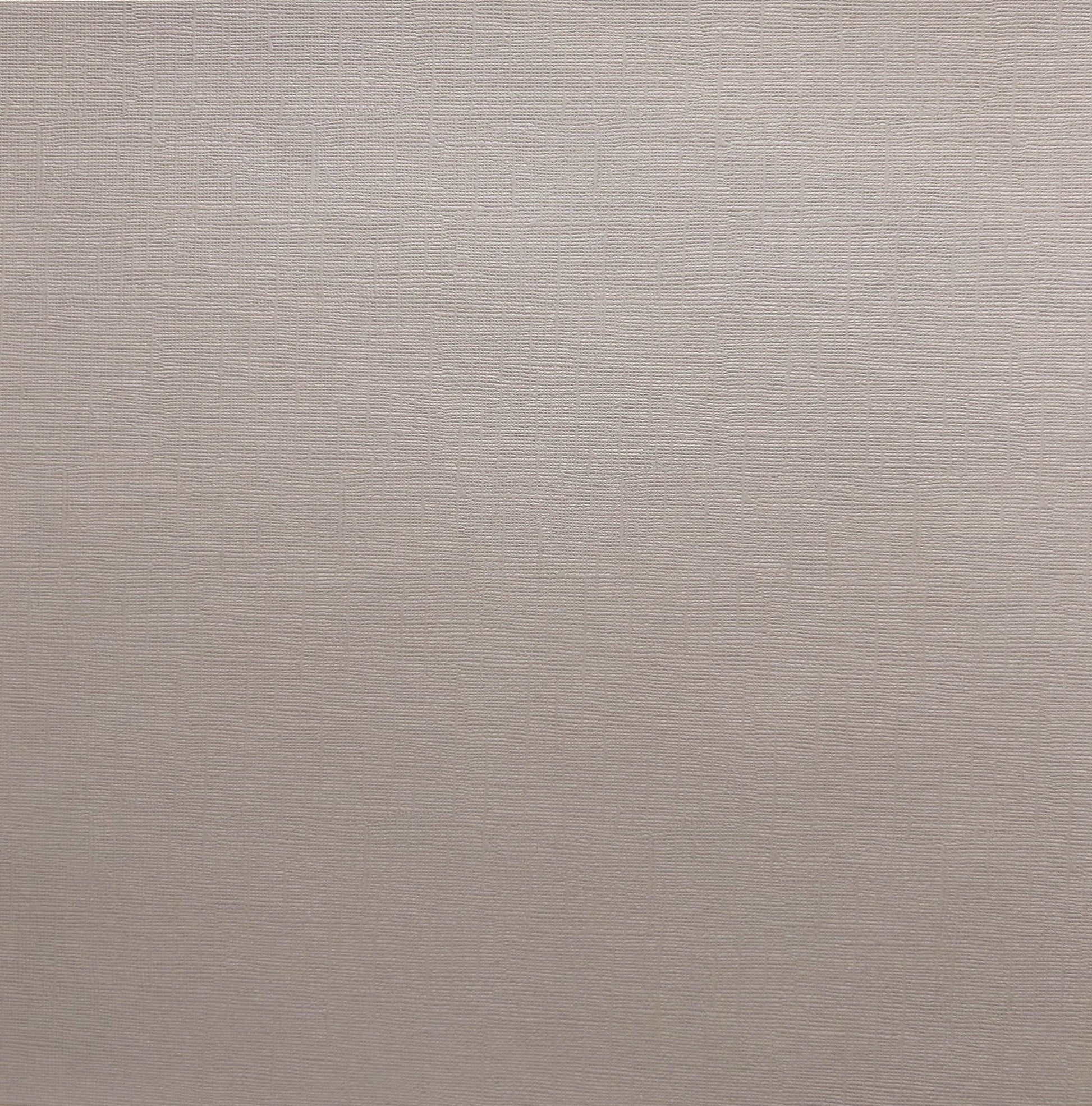 Encore Rainy Day warm grey textured cardstock for Cricut cutting