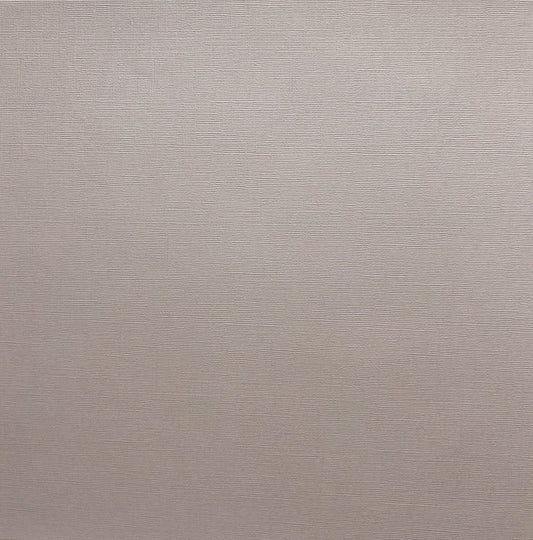 Encore Rainy Day warm grey textured cardstock for Cricut cutting