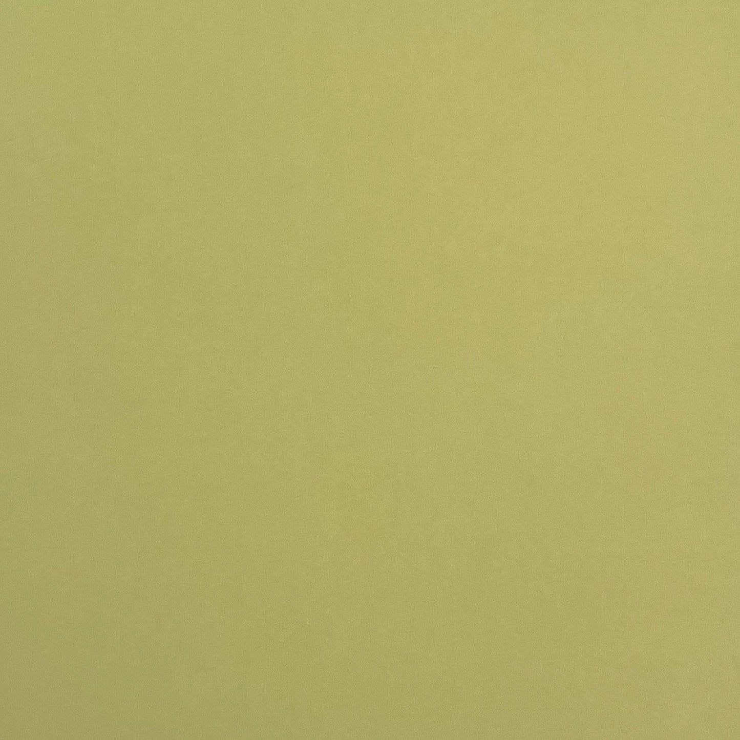 TEA GREEN - Smooth 12x12 Cardstock - Encore Paper