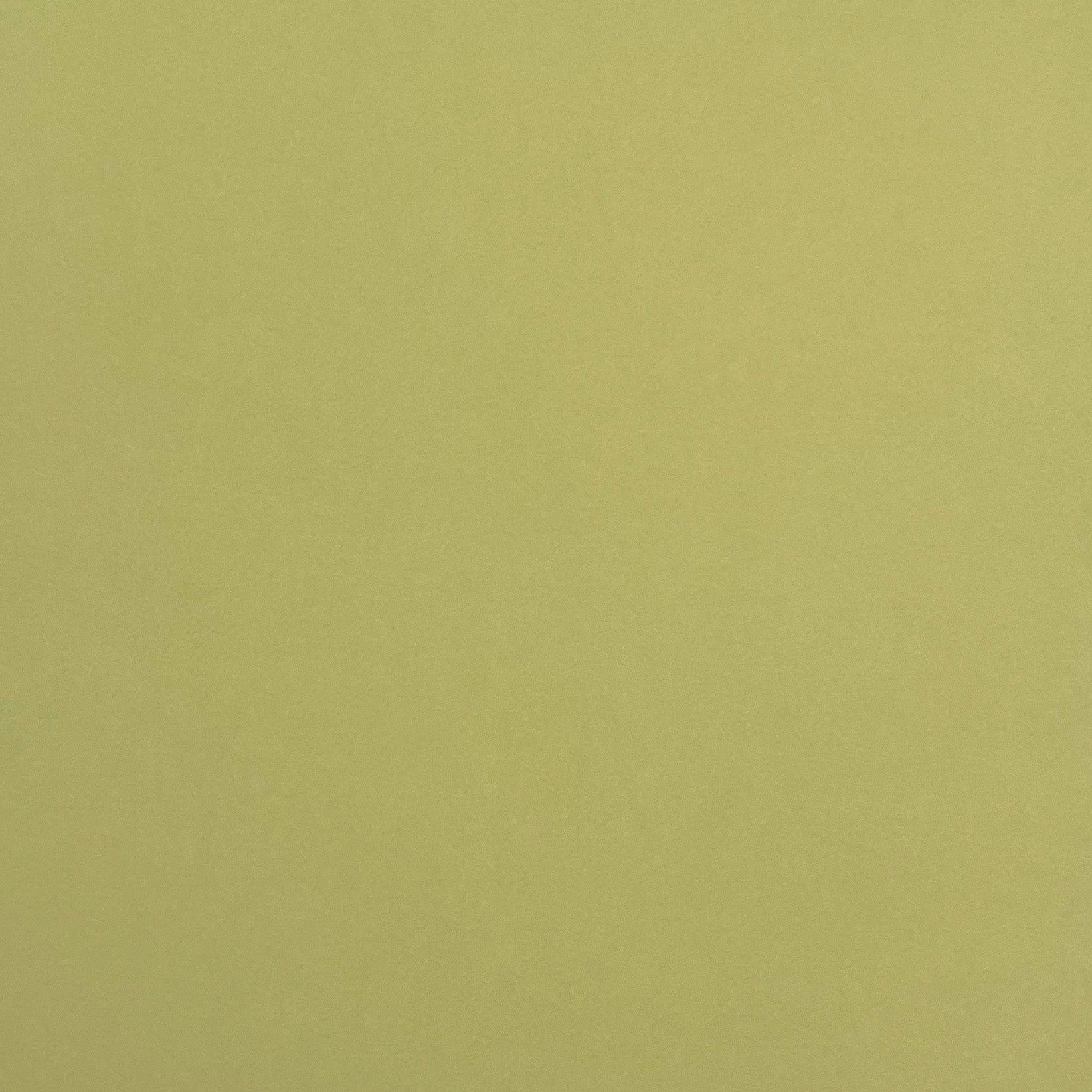 TEA GREEN - Smooth 12x12 Cardstock - Encore Paper