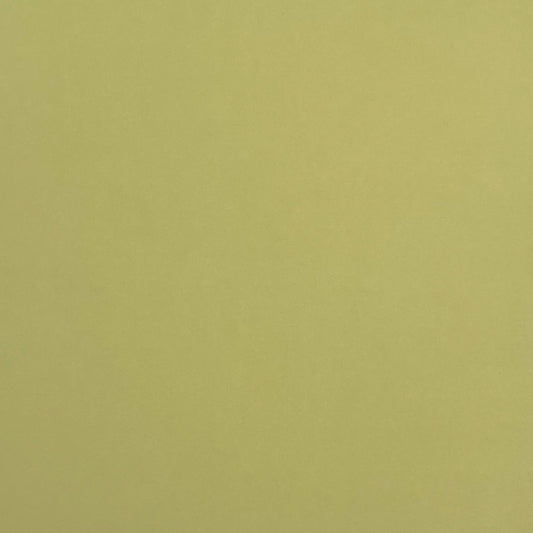 TEA GREEN - Smooth 12x12 Cardstock - Encore Paper