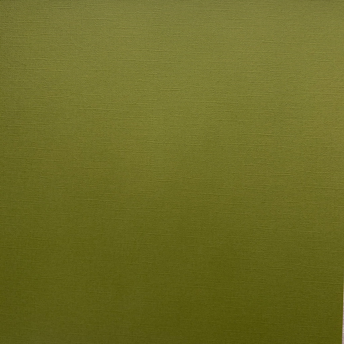 SUCCULENT 12x12 Textured Olive Green Cardstock - Encore Paper